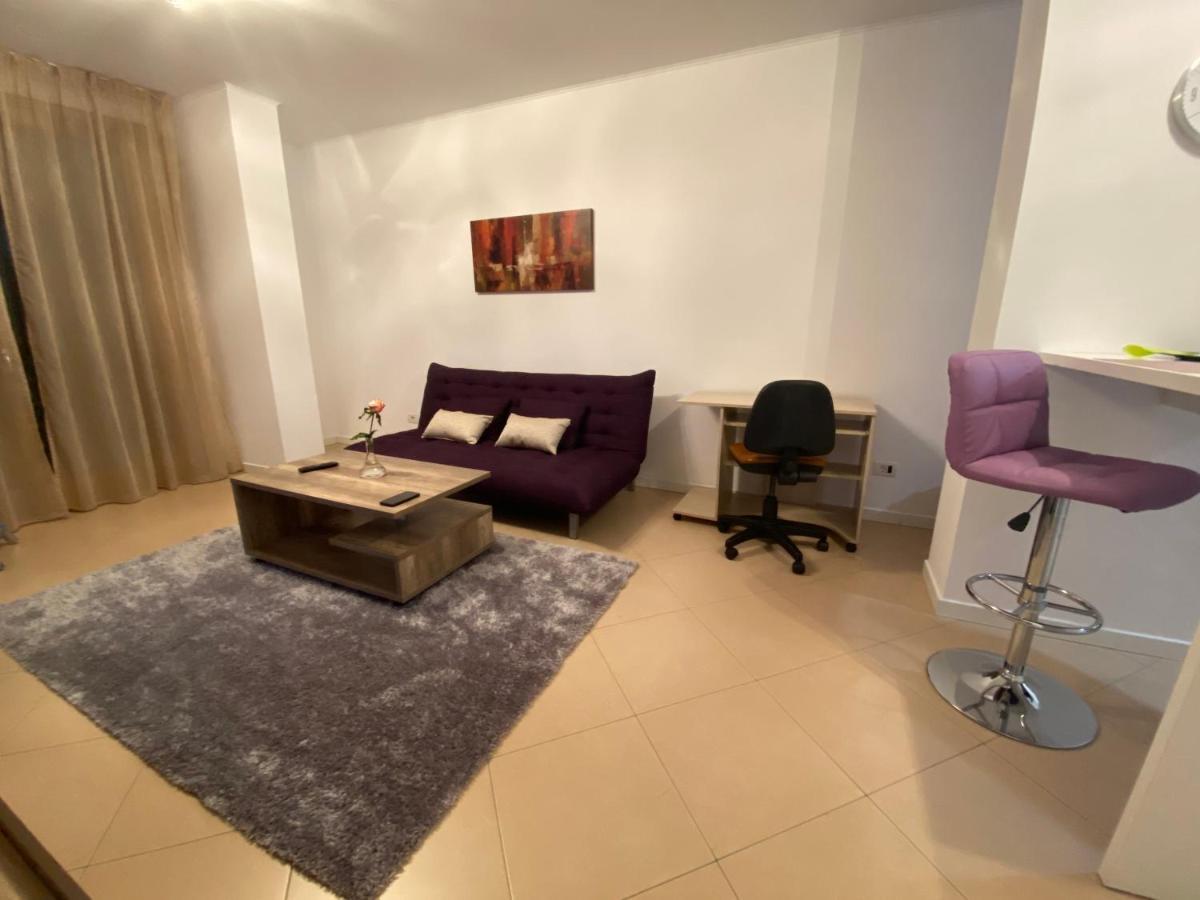 Central Apartment Timisoara Bagian luar foto