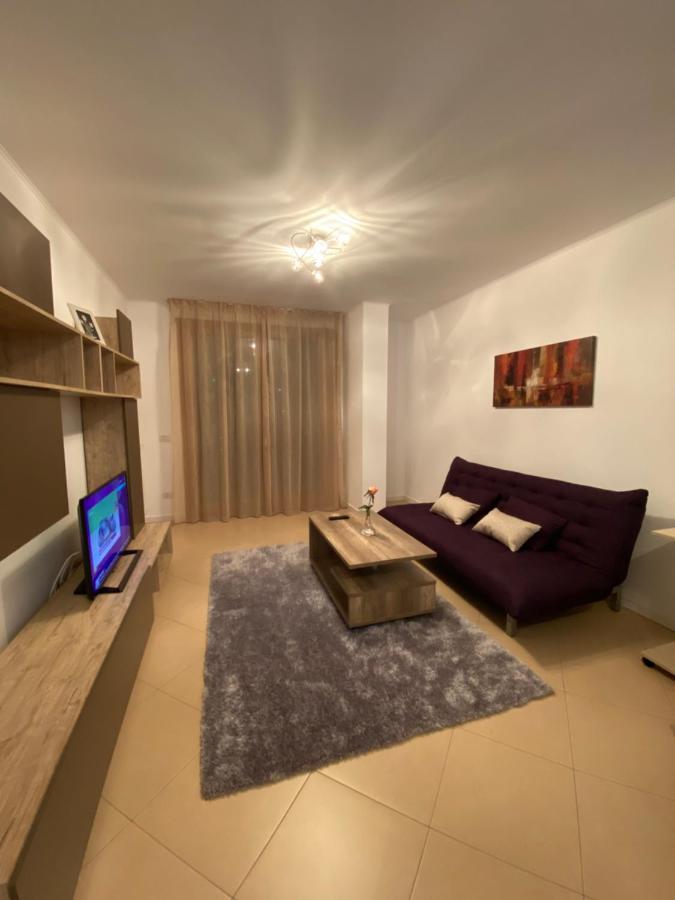 Central Apartment Timisoara Bagian luar foto