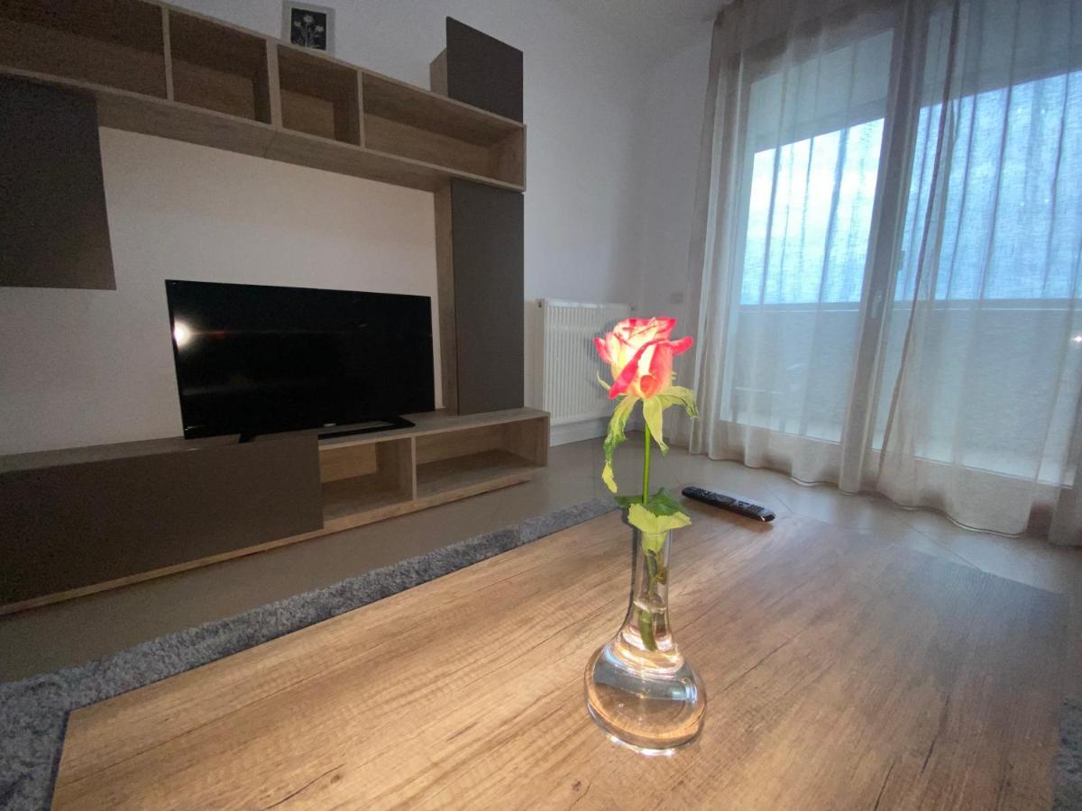 Central Apartment Timisoara Bagian luar foto
