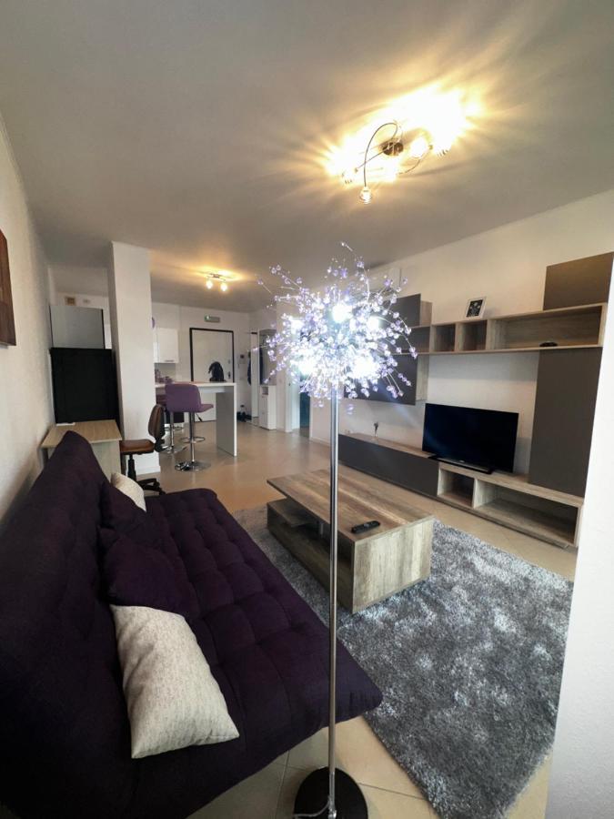 Central Apartment Timisoara Bagian luar foto