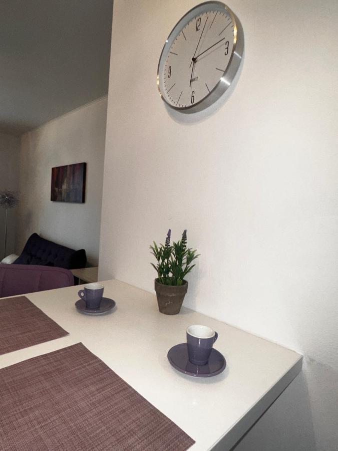 Central Apartment Timisoara Bagian luar foto