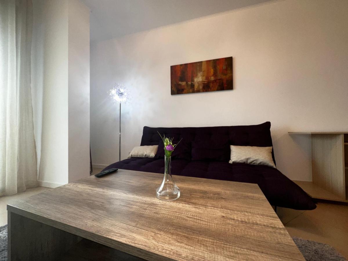 Central Apartment Timisoara Bagian luar foto