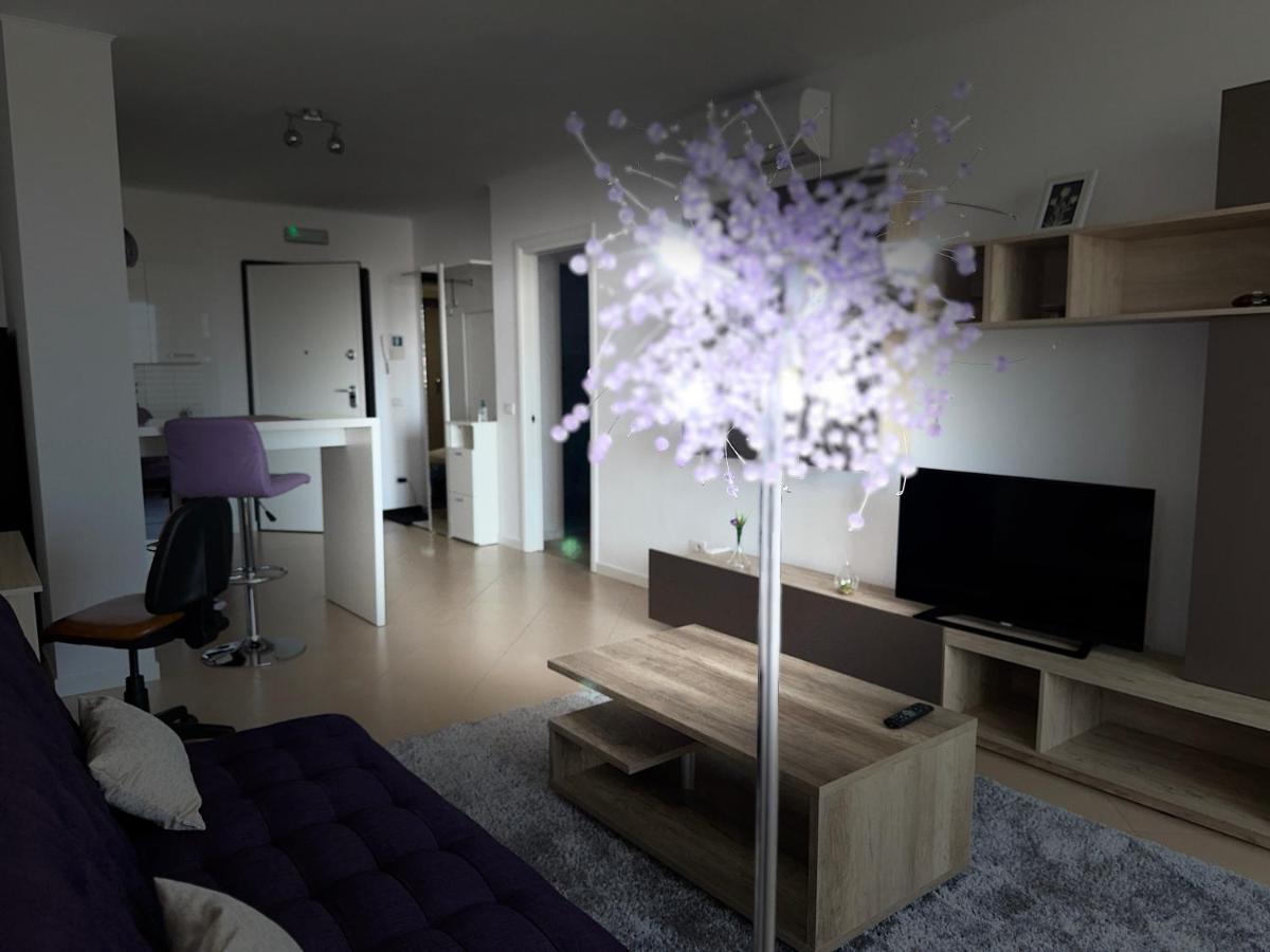 Central Apartment Timisoara Bagian luar foto