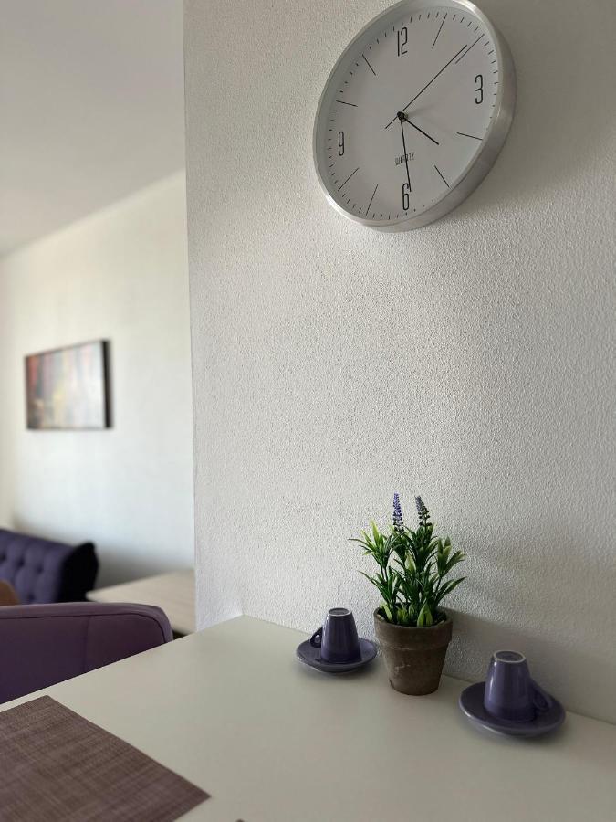 Central Apartment Timisoara Bagian luar foto