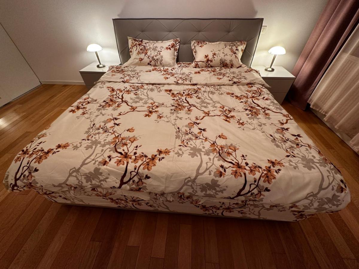 Central Apartment Timisoara Bagian luar foto
